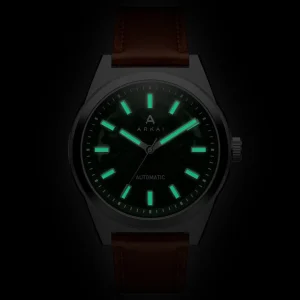 Arkai Caron | Montre Squelette Automatique En Acier Inoxydable Vert Et Argenté REMISE 9