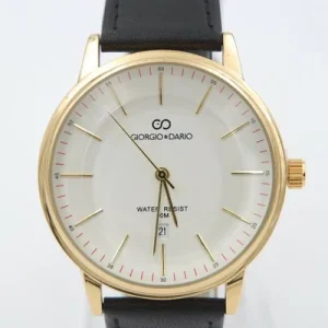 magasin paris Giorgio & Dario MONTRES HOMME : GDM9007G 23