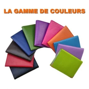 remise en ligne Maromax PORTE-CARTES : PC-C-807-H 12