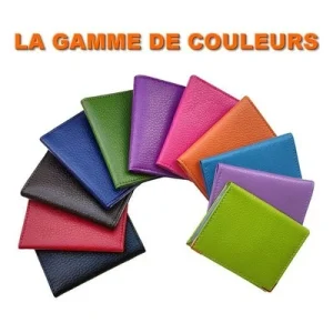 Maromax PORTE-CARTES : PC-C-301-H REMISE 13